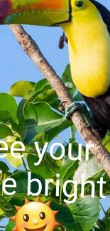 Toucan on branch with green leaves and motivational text.