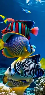 Wallaper with colorful tropical fish swimming in the ocean.