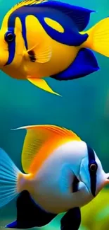 Colorful tropical fish swimming in blue water.