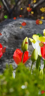 Vibrant wallpaper of tulips and daffodils set against a natural backdrop.