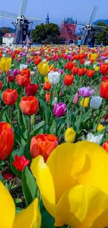 Colorful tulip field with windmills in the background.