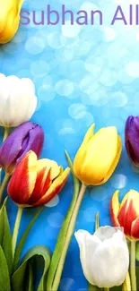 Colorful tulips and 'Subhan Allah' text on blue background.