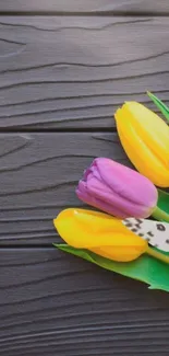 Purple and yellow tulips with butterfly on dark wood.