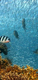 Vibrant underwater scene with coral and tropical fish.