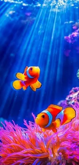 Two clownfish swimming in colorful coral underwater.