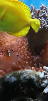 Vibrant coral reef with yellow Tang fish and clownfish in the ocean.