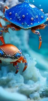 Colorful crabs in an underwater setting, vibrant and detailed.