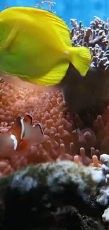 Underwater scene with yellow fish and colorful coral reef.