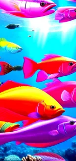 Vibrant underwater scene with colorful fish in blue ocean waters.