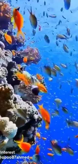 Vibrant underwater scene with colorful fish and coral reefs.