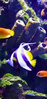 Colorful tropical fish swimming in a vibrant coral reef.