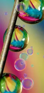 Colorful water droplets on a pin mobile wallpaper.