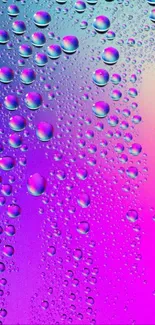 Mobile wallpaper with colorful water droplets on a purple gradient.