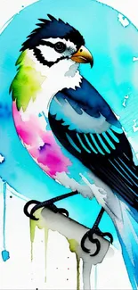 Vibrant watercolor illustration of a colorful bird with a blue background.