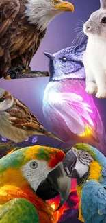 Vibrant collage of wildlife, featuring colorful parrots, an eagle, bunny, and owl.