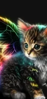 Cute kitten with colorful glowing wings on a black background.