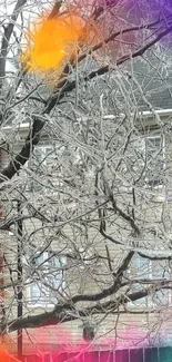 Frost-covered tree with colorful accents against a gray background.