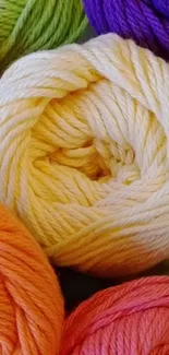 Cream yarn ball surrounded by colorful skeins.