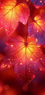 Close-up of illuminated autumn leaves with dew drops.