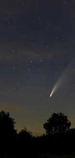 Comet streaking across a starry night sky with a silhouette of trees.