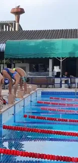 Swimmers poised at the start of a competitive pool race.