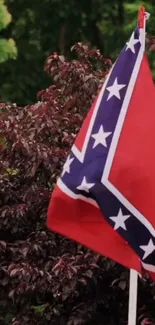 Confederate flag waving with green leafy background.