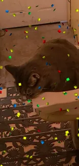 Gray cat surrounded by confetti on stairs.