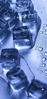 Close-up of blue ice cubes with water droplets, creating a cool ambient mobile wallpaper.