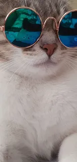 A stylish cat wearing blue reflective sunglasses looking trendy.