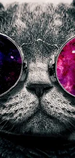 Cool cat wearing cosmic galaxy-themed glasses.