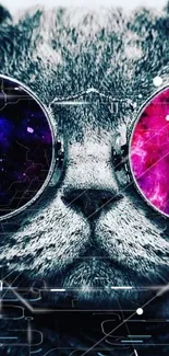 Cat wearing galaxy-themed sunglasses.