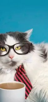 Fluffy cat wearing glasses and a tie with a blue background.