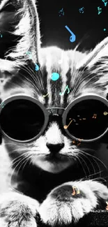 Stylish black and white cat wearing headphones and sunglasses.