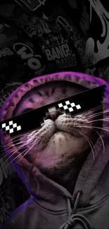 Cat in hoodie with sunglasses on comic style background.