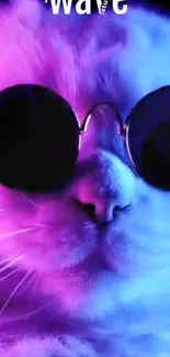 Stylish cat in sunglasses with neon colors.