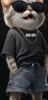 Cat wearing sunglasses and stylish clothes.
