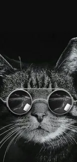 A stylish cat in sunglasses on a dark background for mobile wallpaper.