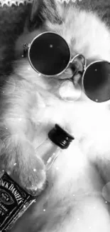 Black and white cat wearing sunglasses with a bottle.