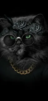 Black cat wearing sunglasses, bandana, and gold chain on black background.