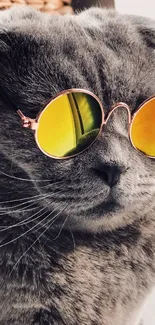 Gray cat wearing yellow sunglasses, looking stylish and cool.