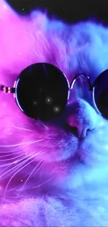 A cool cat in sunglasses with neon pink and blue lights as a mobile wallpaper.