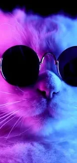 Stylish cat in neon shades with sunglasses, vibrant mobile wallpaper.