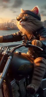 Cool cat in leather jacket on a motorcycle at sunset.