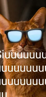 Cute cat with sunglasses says Siuuu in a quirky style wallpaper.