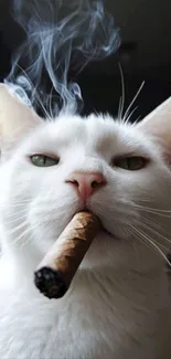 White cat smoking a cigar with smoke rising.