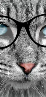 Grey cat with blue eyes wearing glasses on a stylish mobile wallpaper.