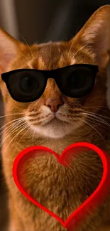 Brown cat with sunglasses and red heart overlay.