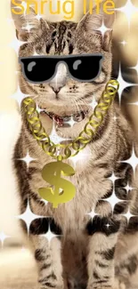 Cool tabby cat with sunglasses and bling in a trendy wallpaper.