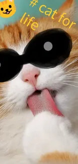 Cute cat with sunglasses and hashtag on its fur.