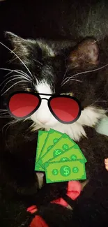 Black and white cat with sunglasses holding cash.